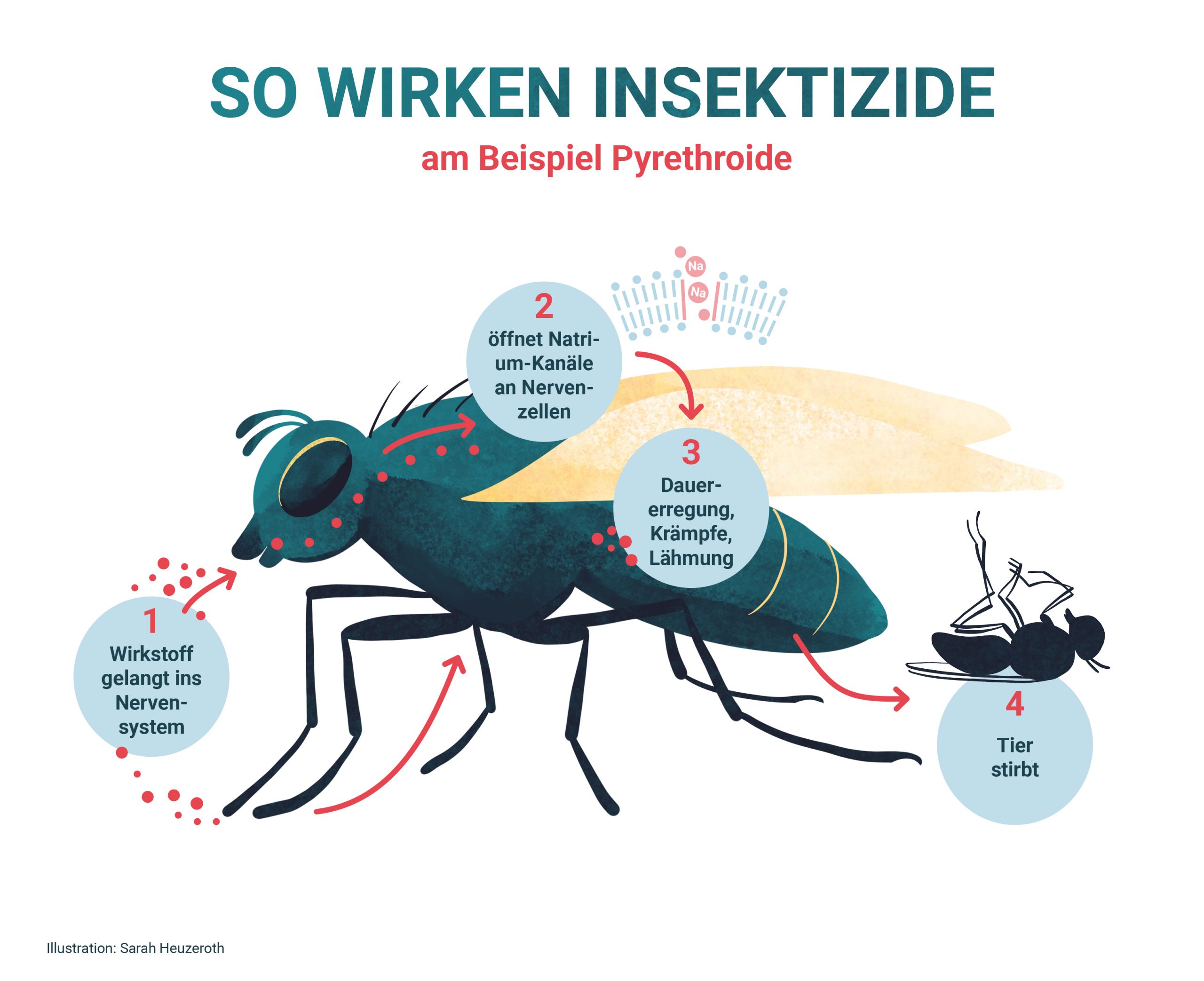 221220_Wirkung-Insektizide-Grafik4